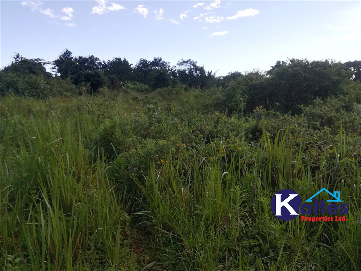 Agricultural Land for sale in Lugala Buyikwe