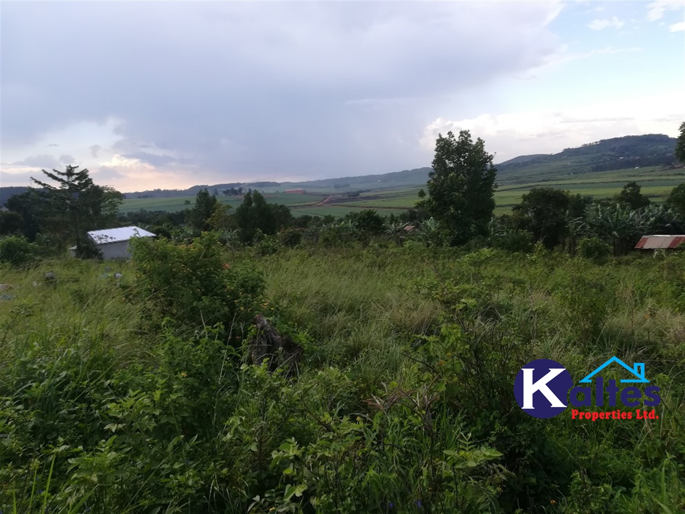 Agricultural Land for sale in Lugalambo Buyikwe