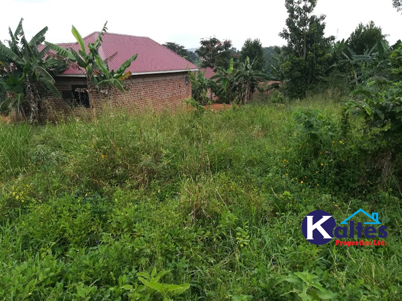 Residential Land for sale in Nakifuma Mukono