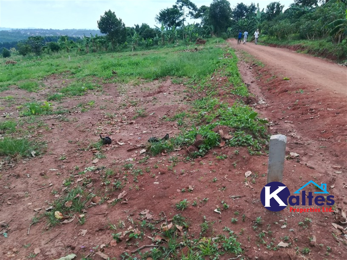 Residential Land for sale in Nakifuma Mukono