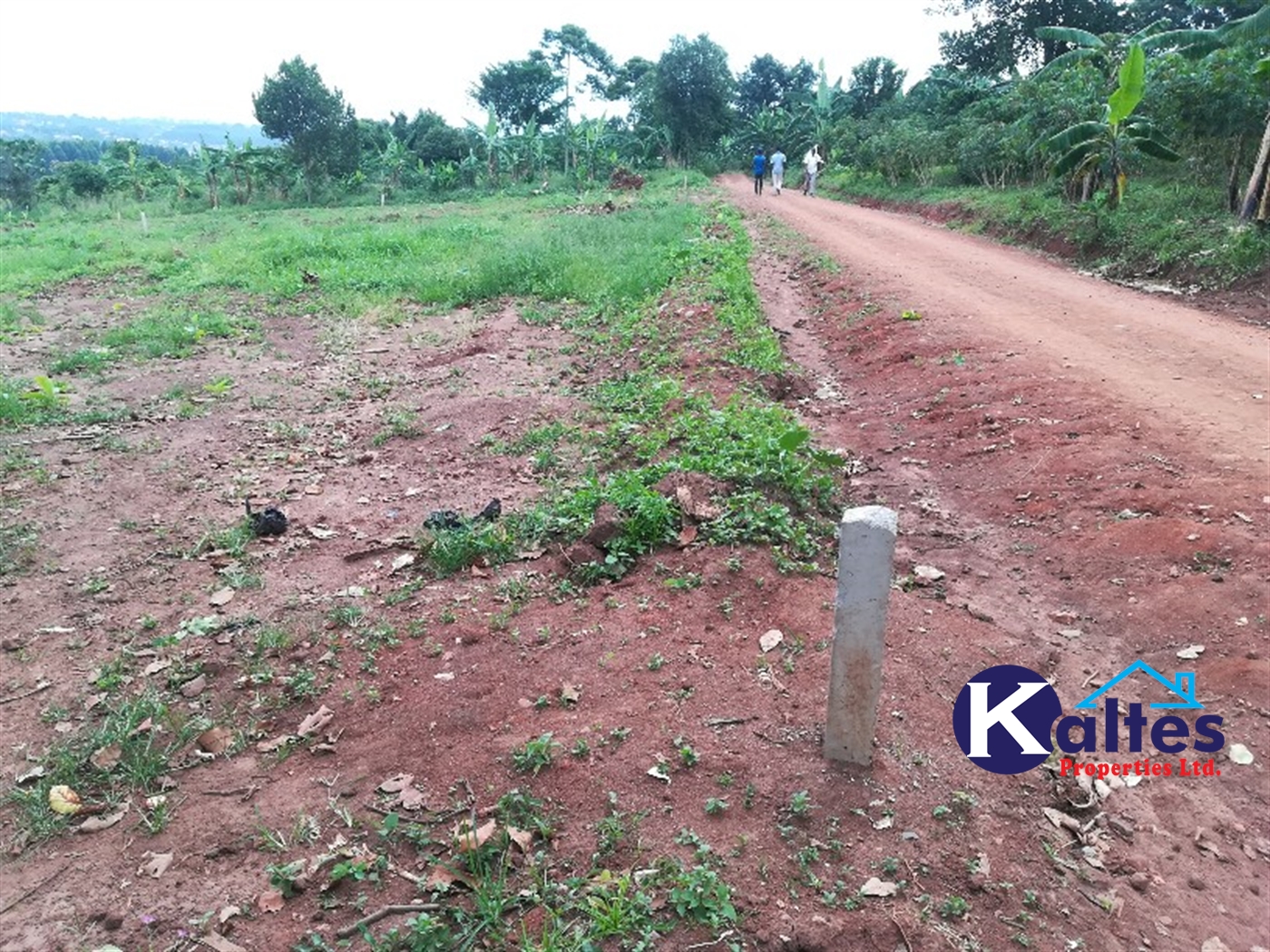 Residential Land for sale in Nakifuma Mukono