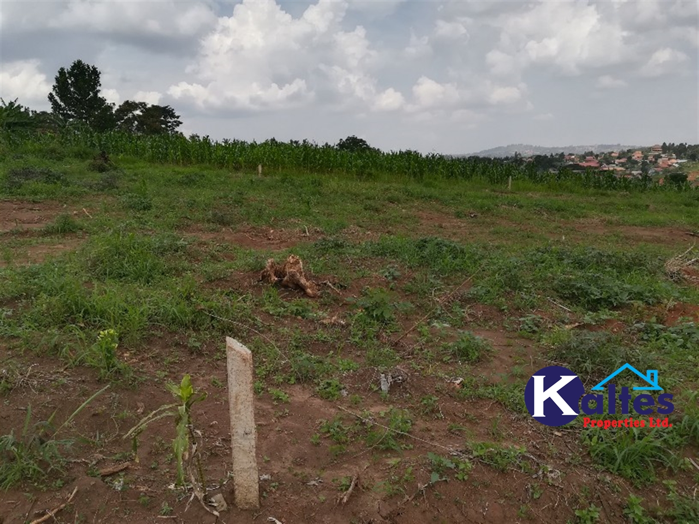 Residential Land for sale in Naggalama Mukono