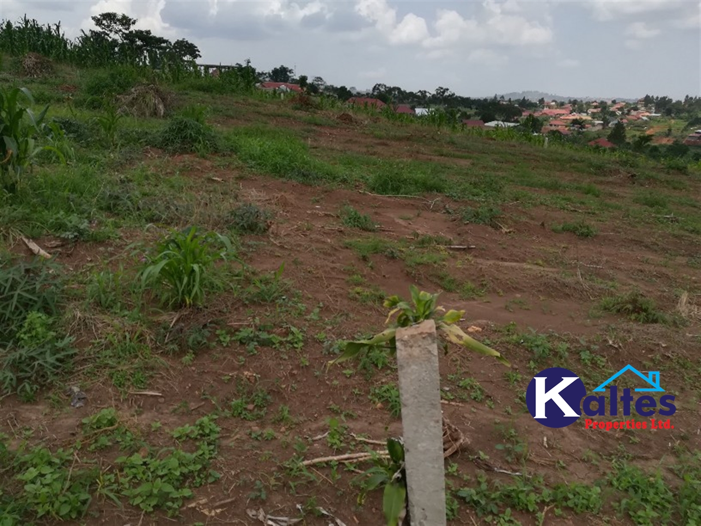 Residential Land for sale in Naggalama Mukono