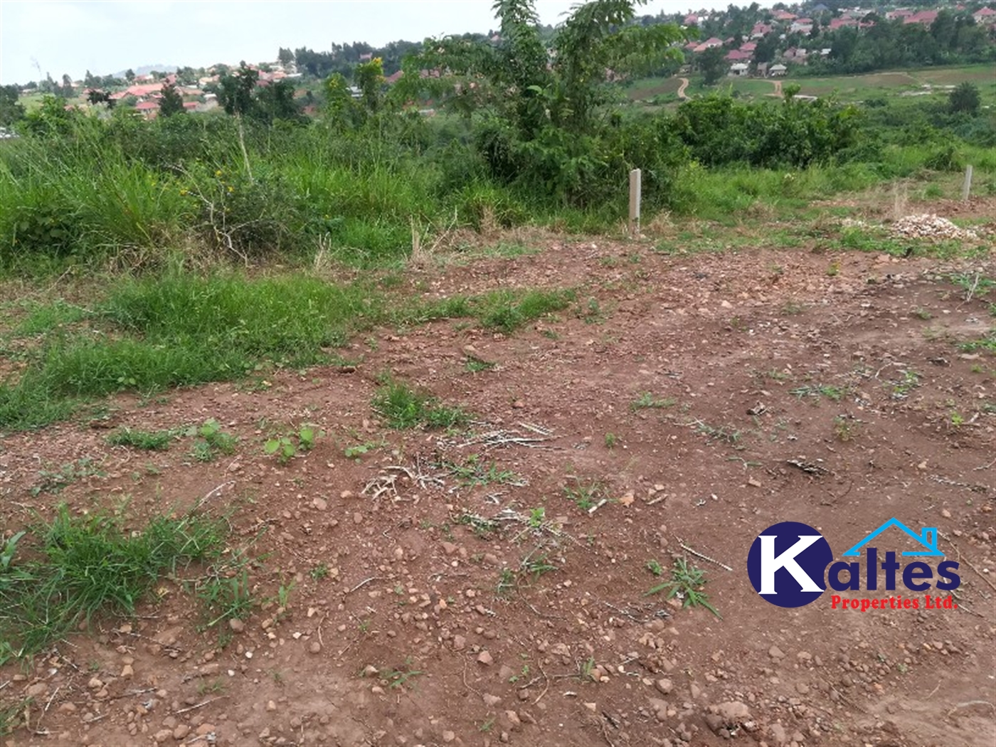 Residential Land for sale in Naggalama Mukono