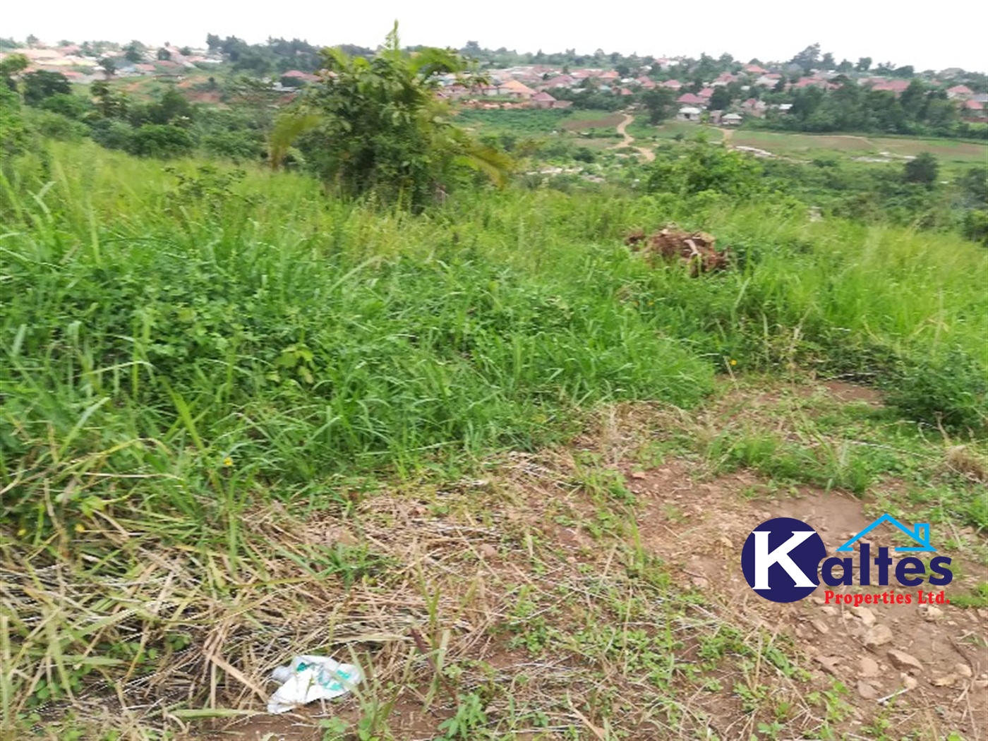 Residential Land for sale in Naggalama Mukono