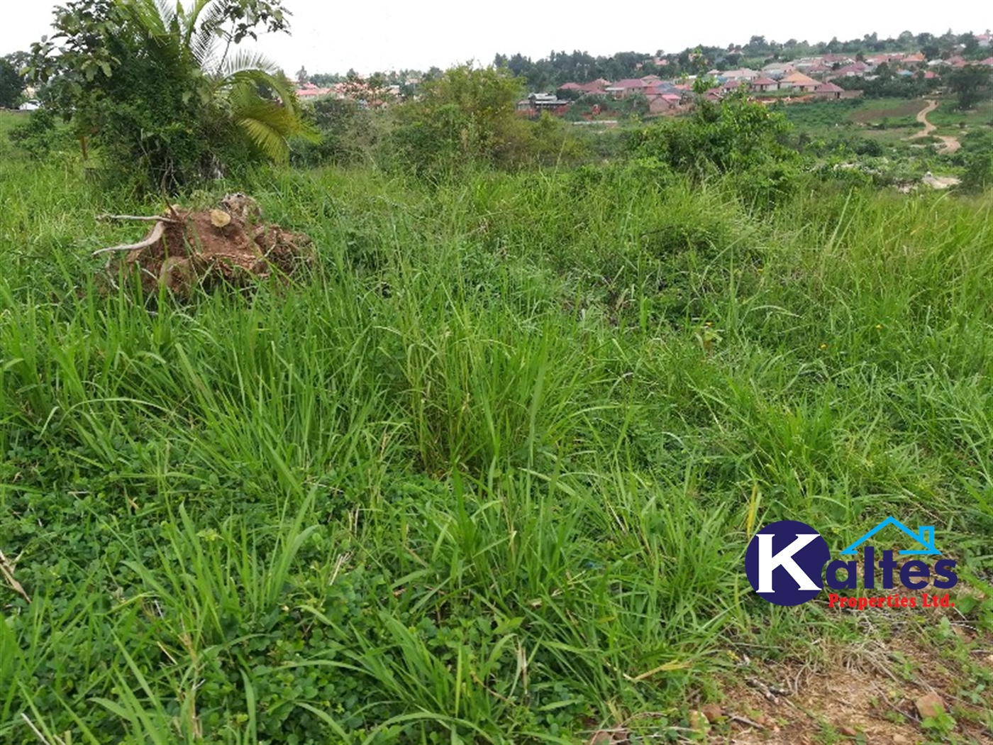 Residential Land for sale in Naggalama Mukono