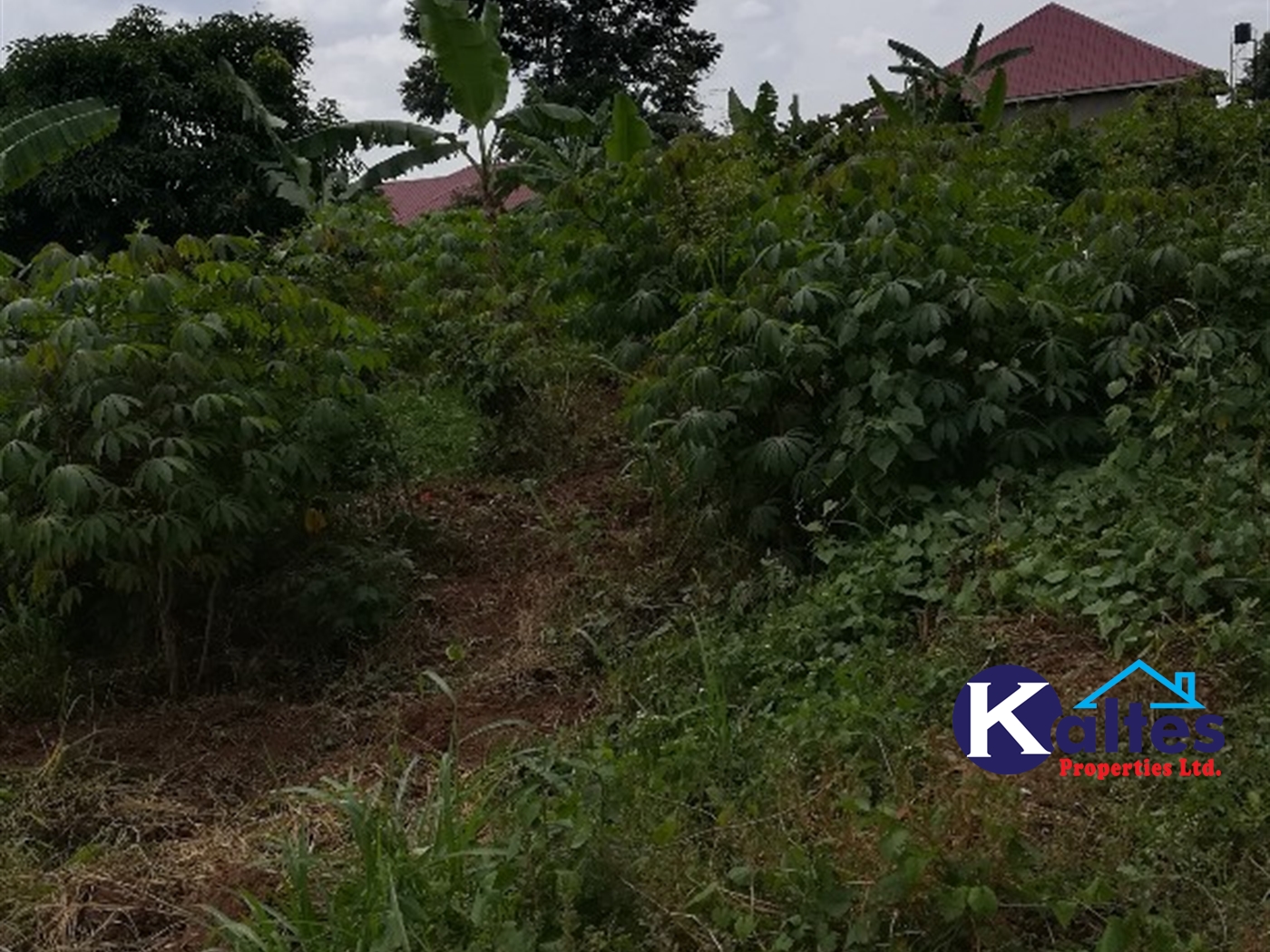 Residential Land for sale in Namataba Mukono