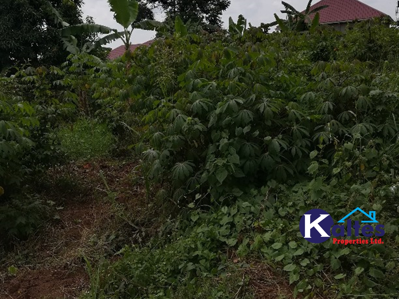 Residential Land for sale in Namataba Mukono