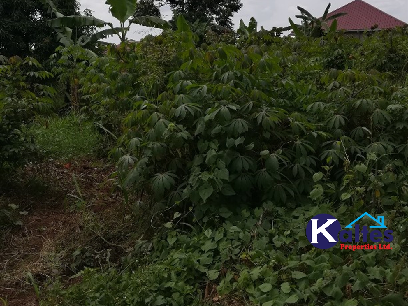 Residential Land for sale in Namataba Mukono