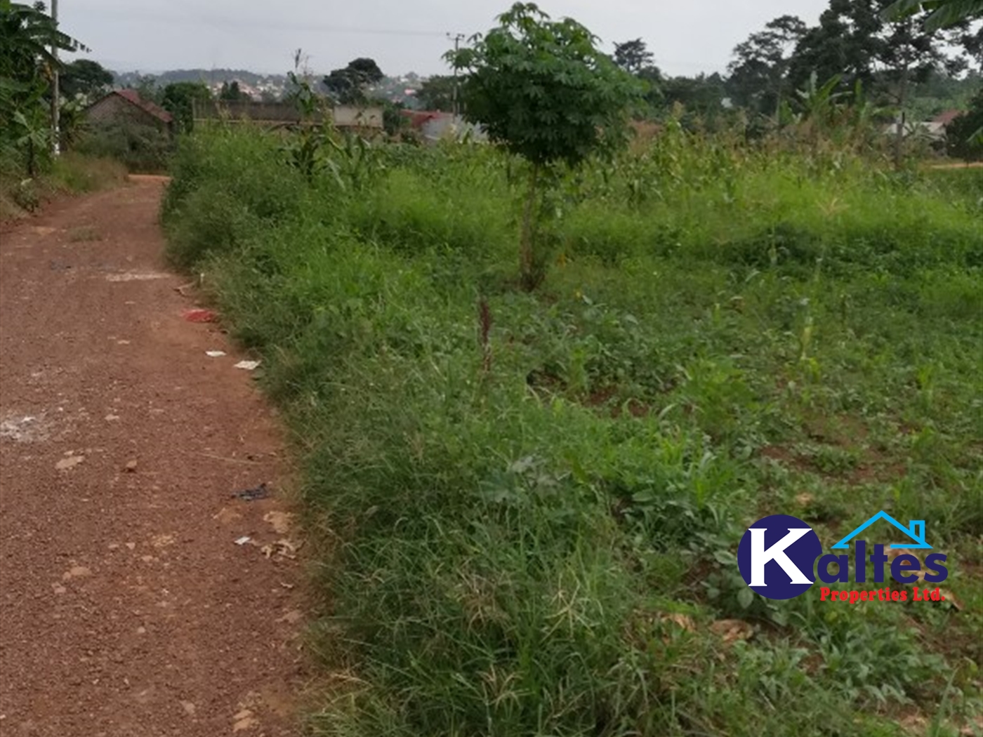 Residential Land for sale in Mbalala Buyikwe