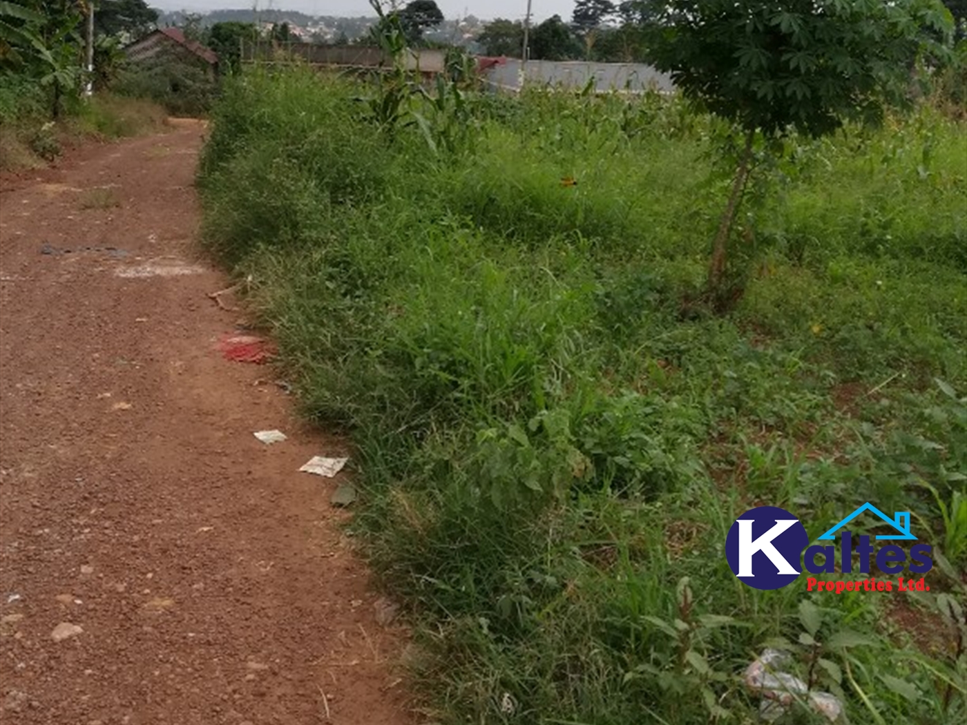 Residential Land for sale in Mbalala Buyikwe