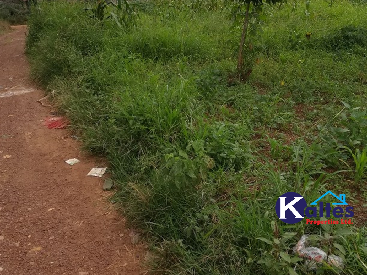 Residential Land for sale in Mbalala Buyikwe