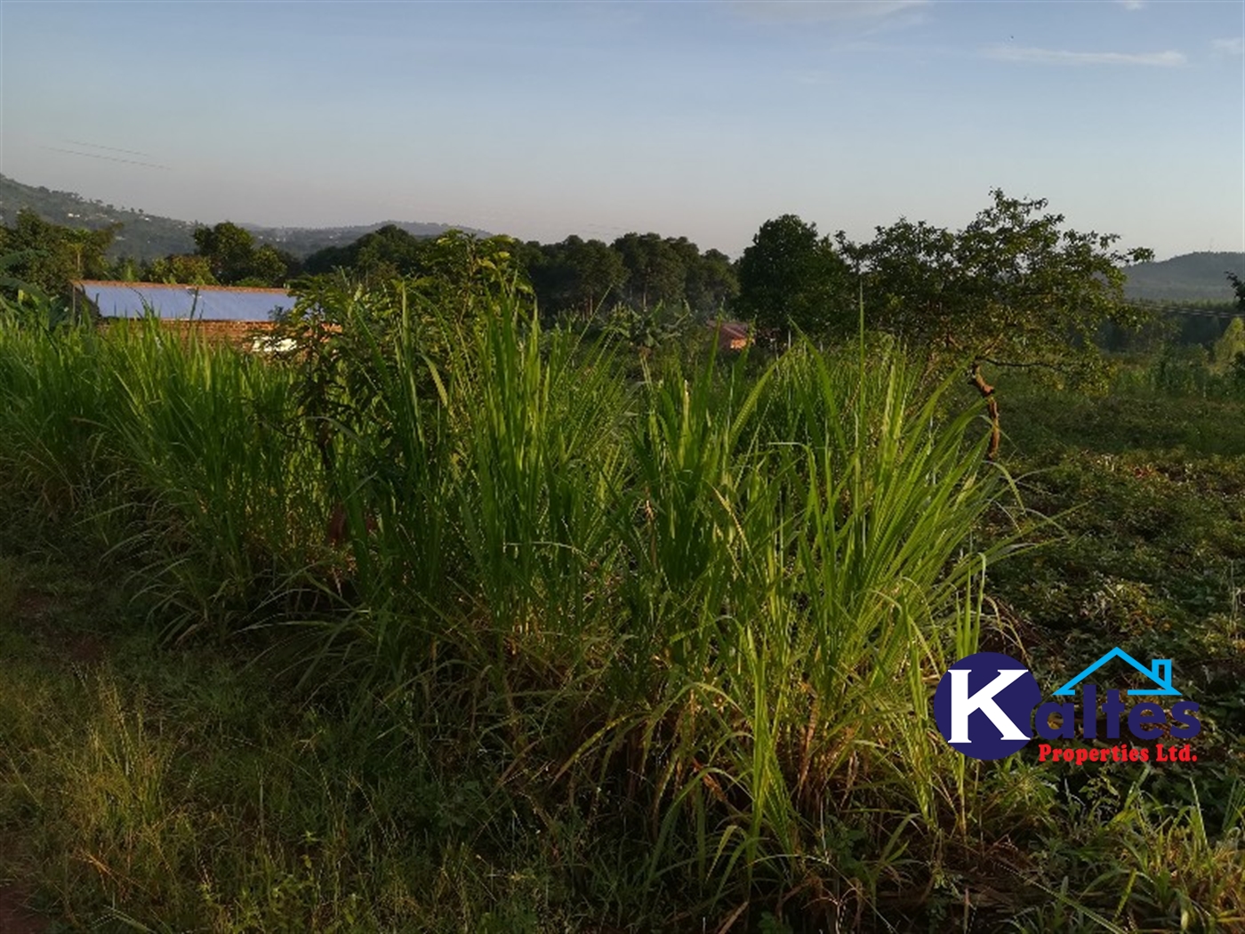 Residential Land for sale in Mbalala Mukono