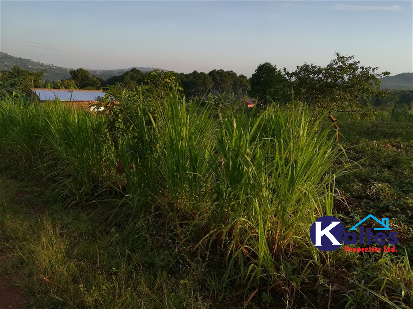 Residential Land for sale in Mbalala Mukono