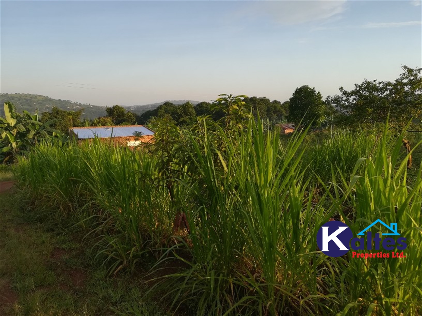 Residential Land for sale in Mbalala Mukono