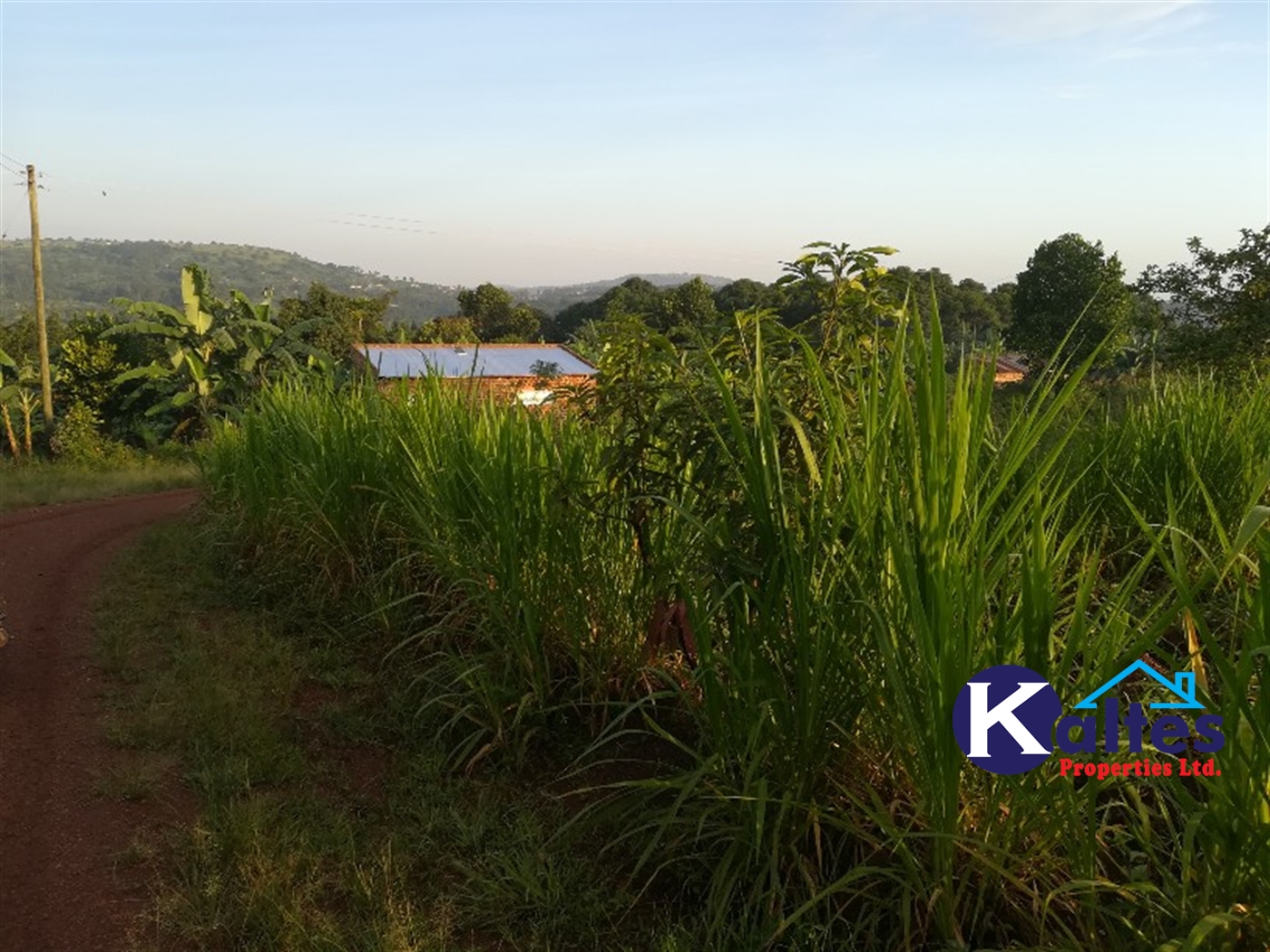 Residential Land for sale in Mbalala Mukono