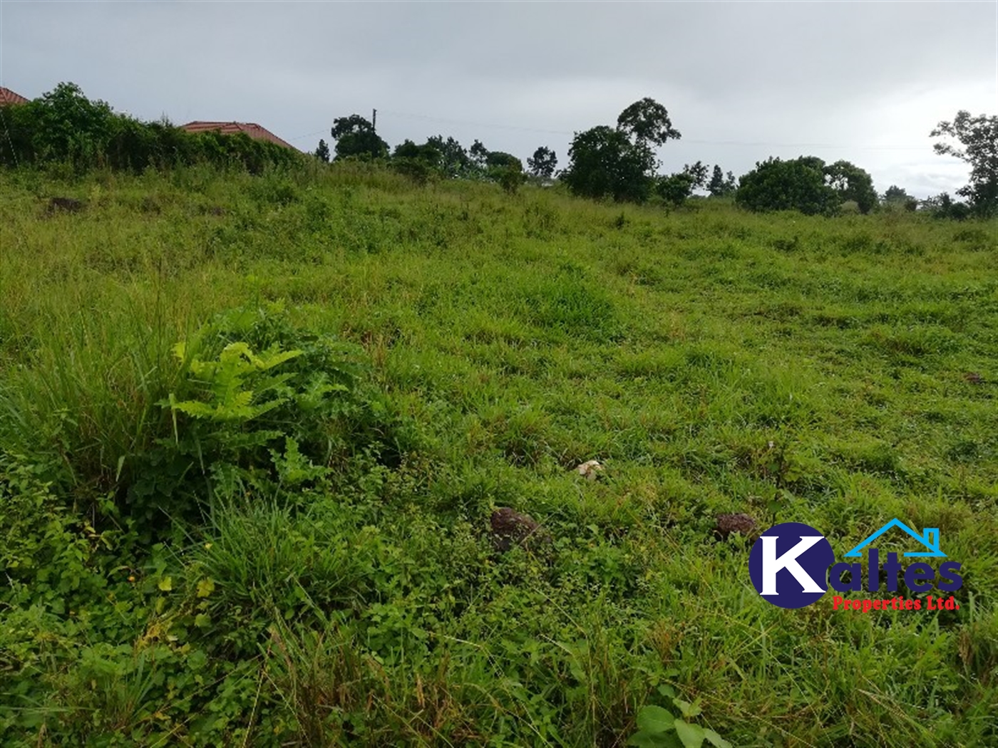 Residential Land for sale in Mbalala Mukono