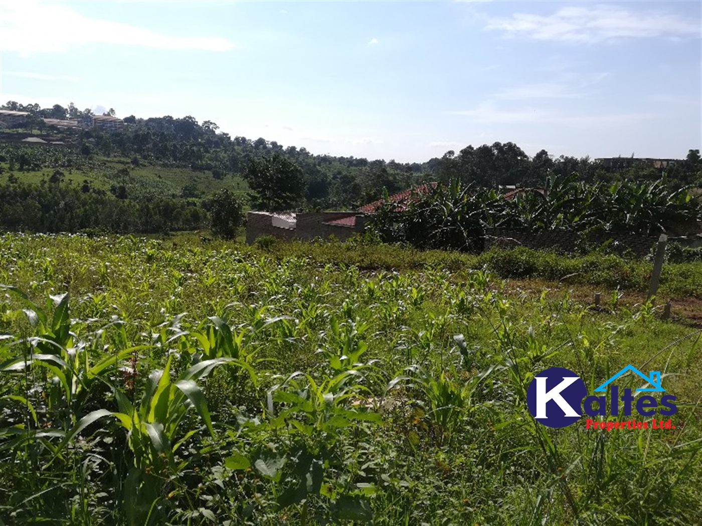 Residential Land for sale in Mbalala Mukono