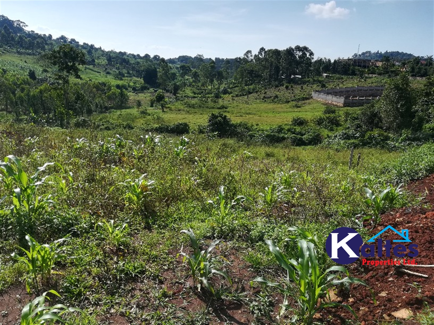 Residential Land for sale in Mbalala Mukono