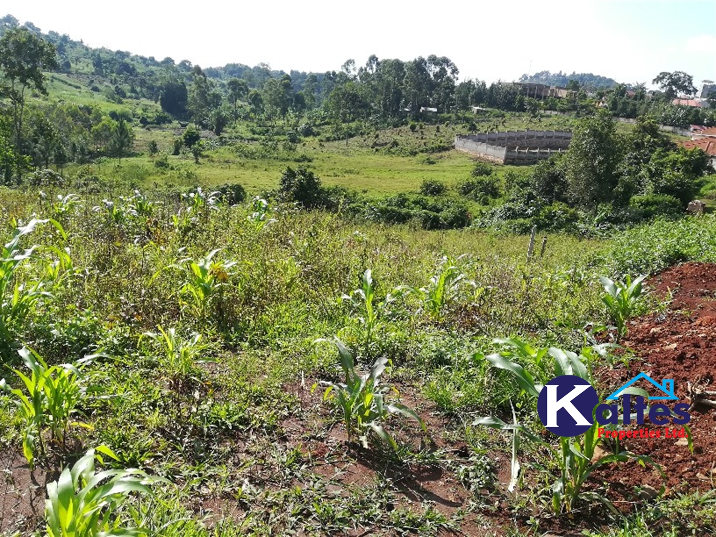 Residential Land for sale in Mbalala Mukono