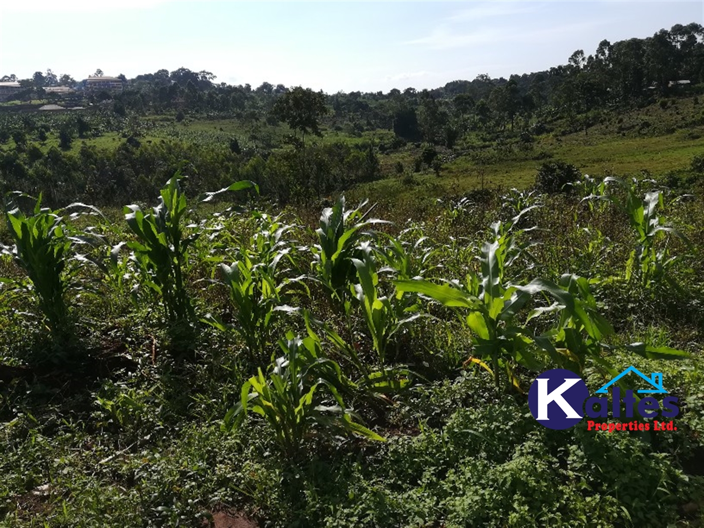 Residential Land for sale in Mbalala Mukono