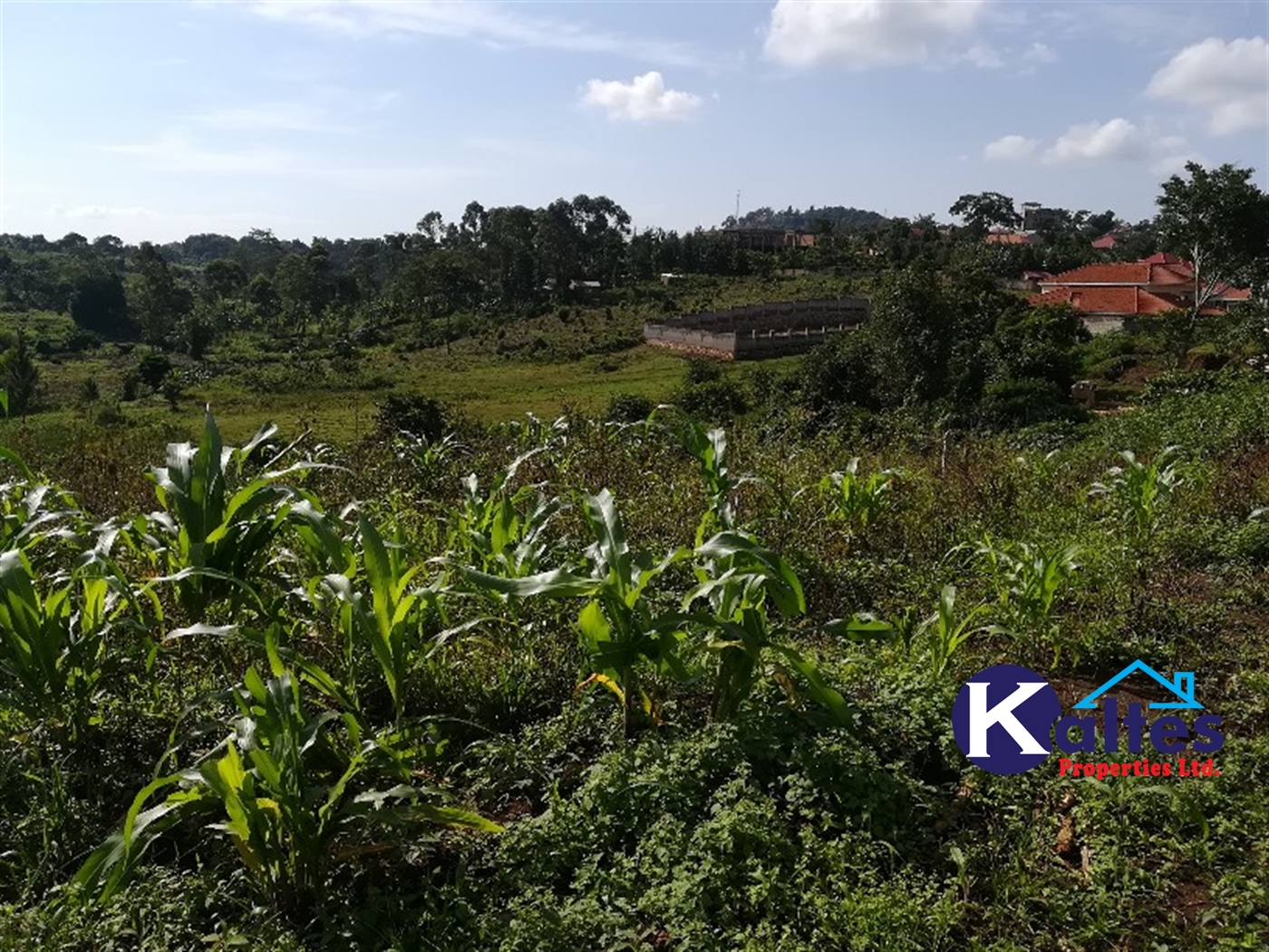 Residential Land for sale in Mbalala Mukono