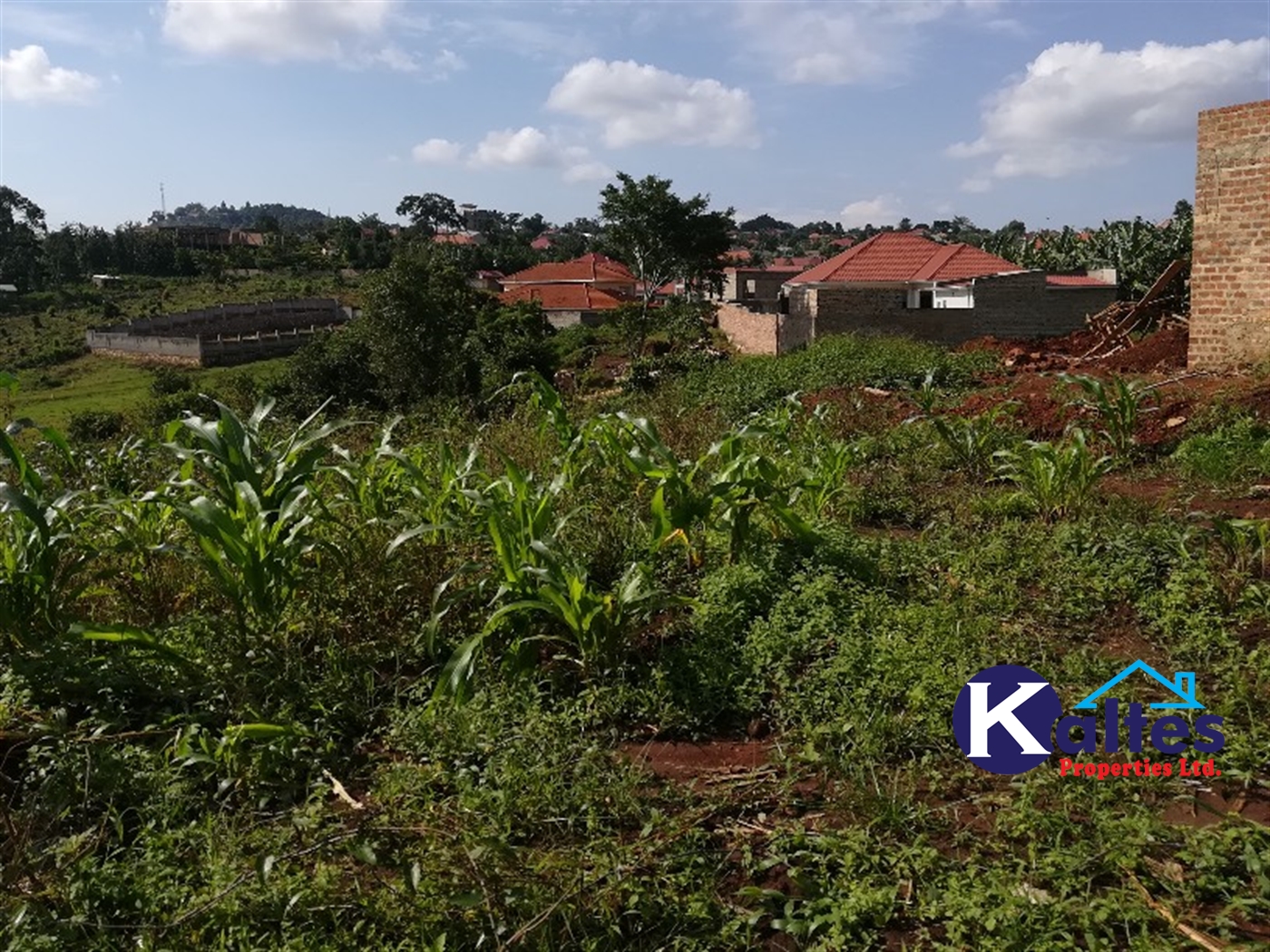 Residential Land for sale in Mbalala Mukono