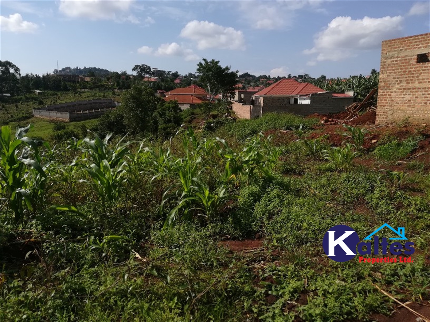 Residential Land for sale in Mbalala Mukono