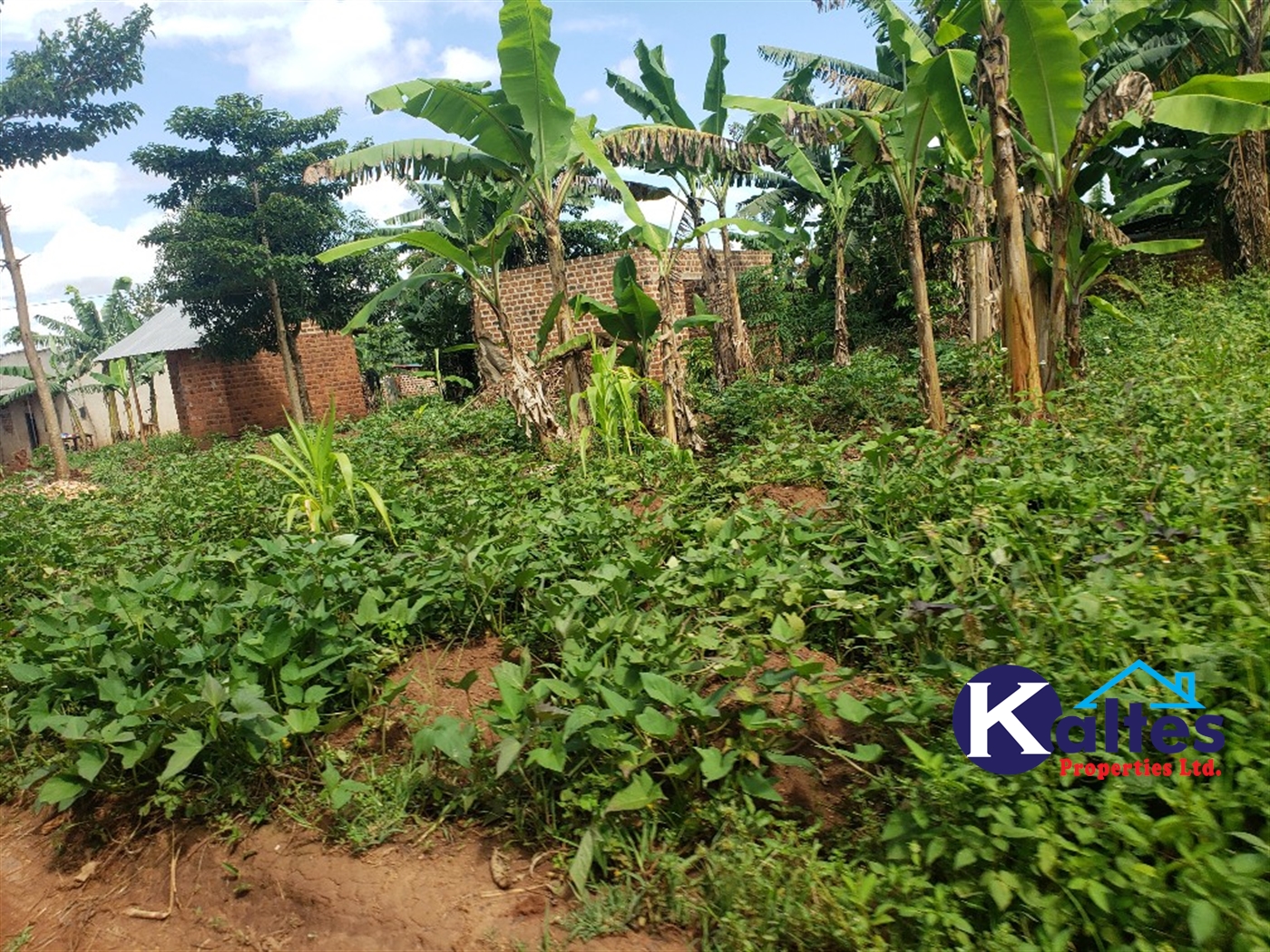 Residential Land for sale in Kiyunga Mukono