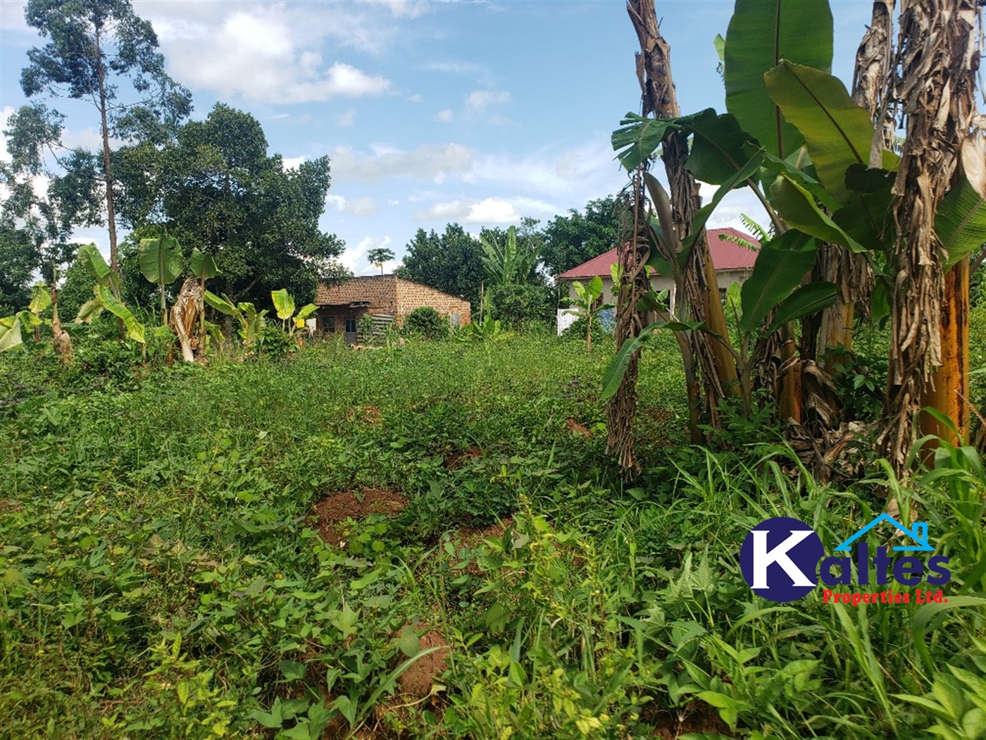 Residential Land for sale in Kiyunga Mukono