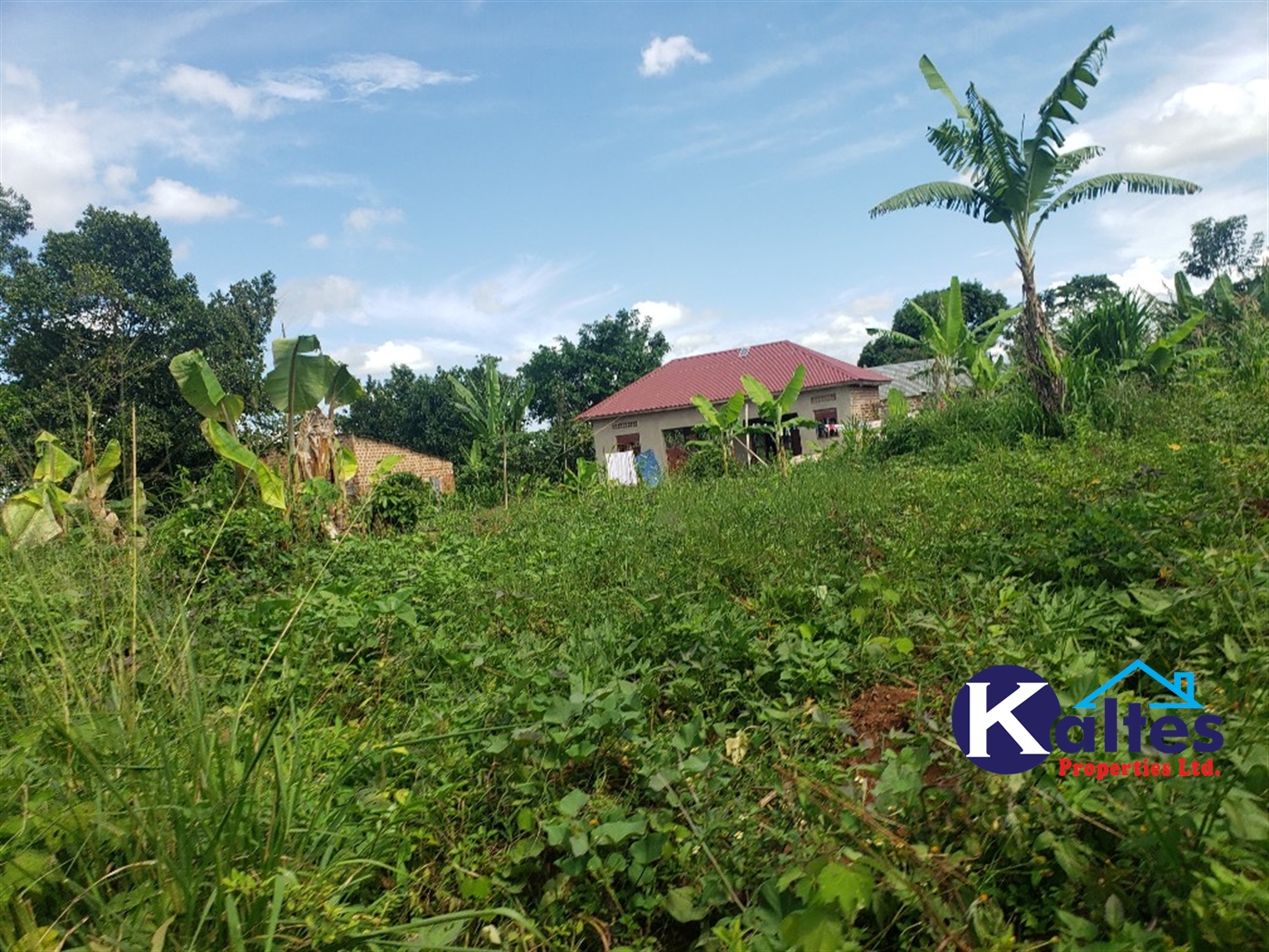 Residential Land for sale in Kiyunga Mukono