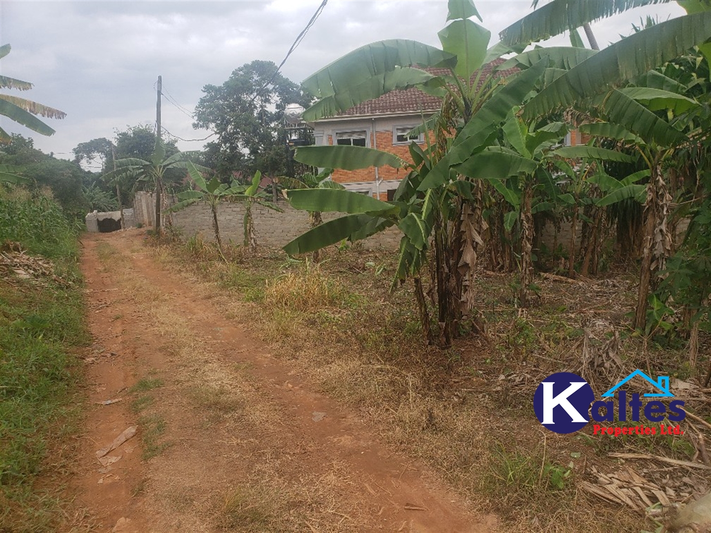 Residential Land for sale in Kiyunga Mukono