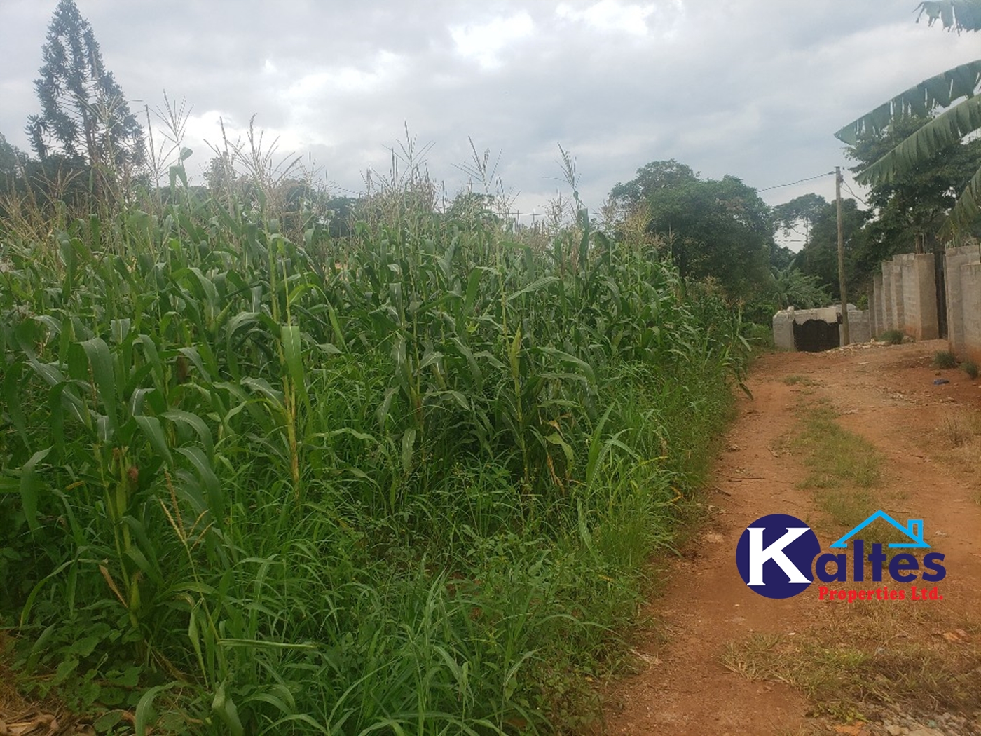 Residential Land for sale in Kiyunga Mukono