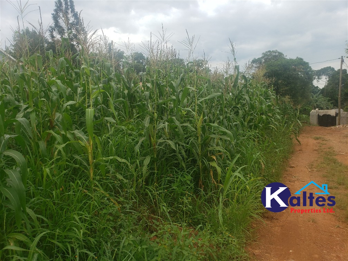 Residential Land for sale in Kiyunga Mukono