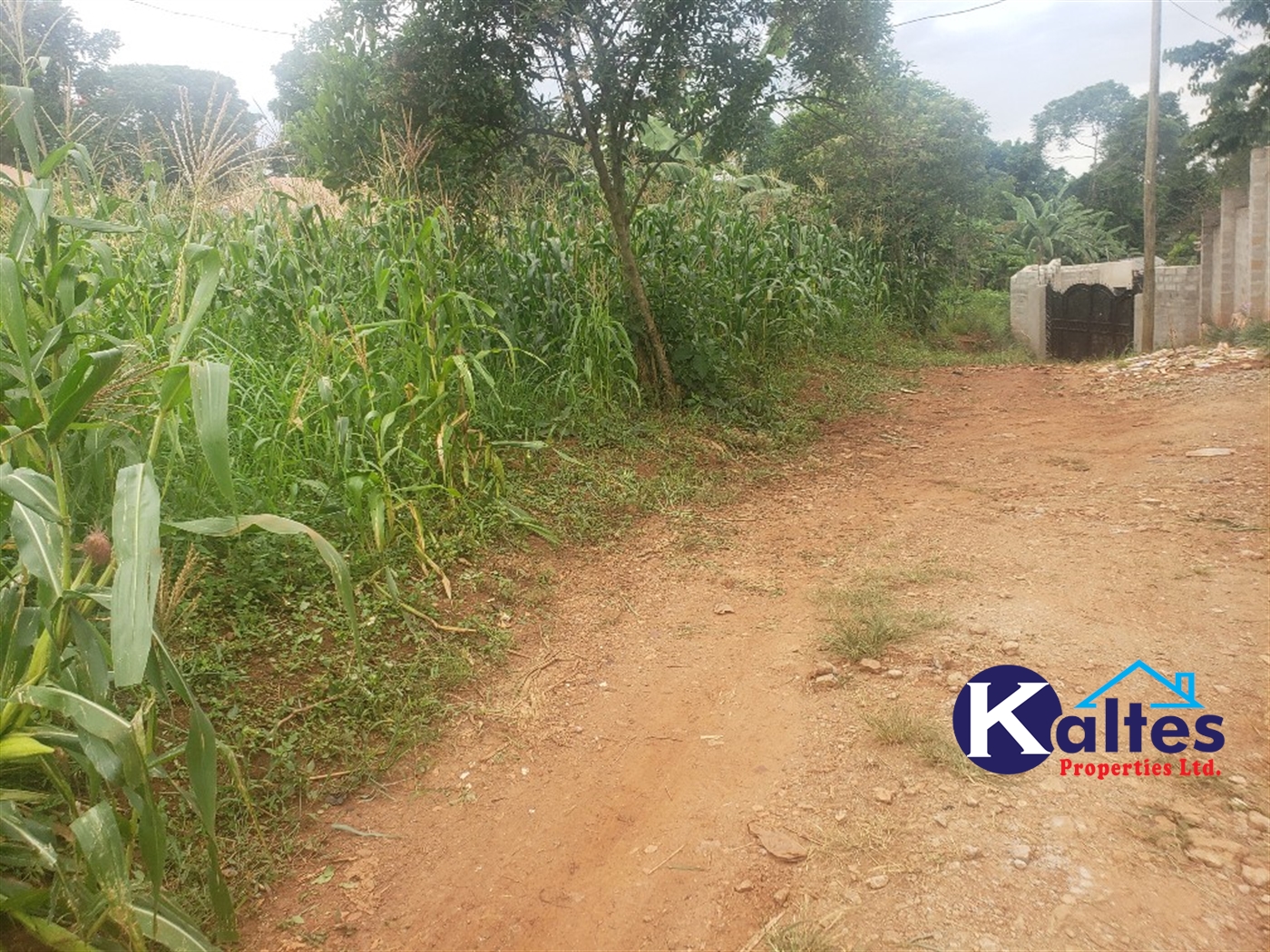 Residential Land for sale in Kiyunga Mukono