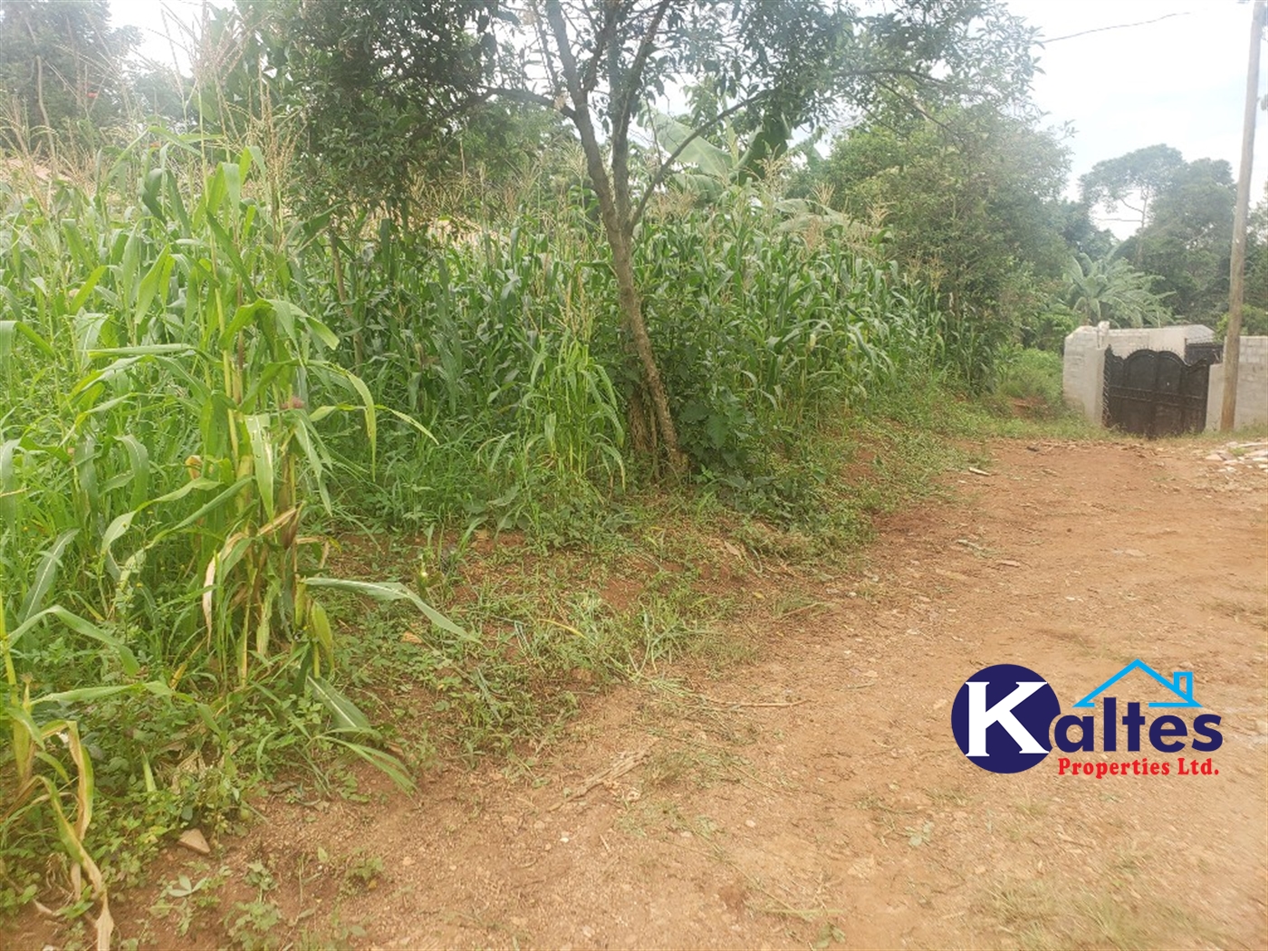 Residential Land for sale in Kiyunga Mukono