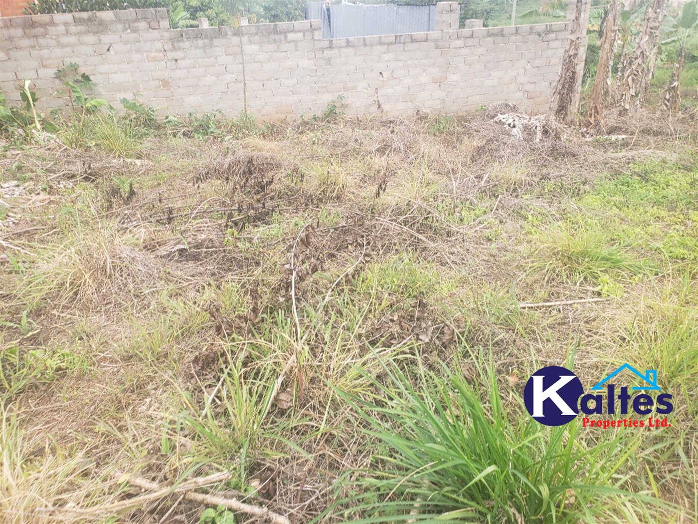 Residential Land for sale in Kiyunga Mukono