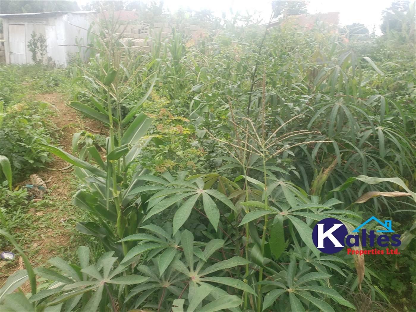 Residential Land for sale in Kabembe Mukono