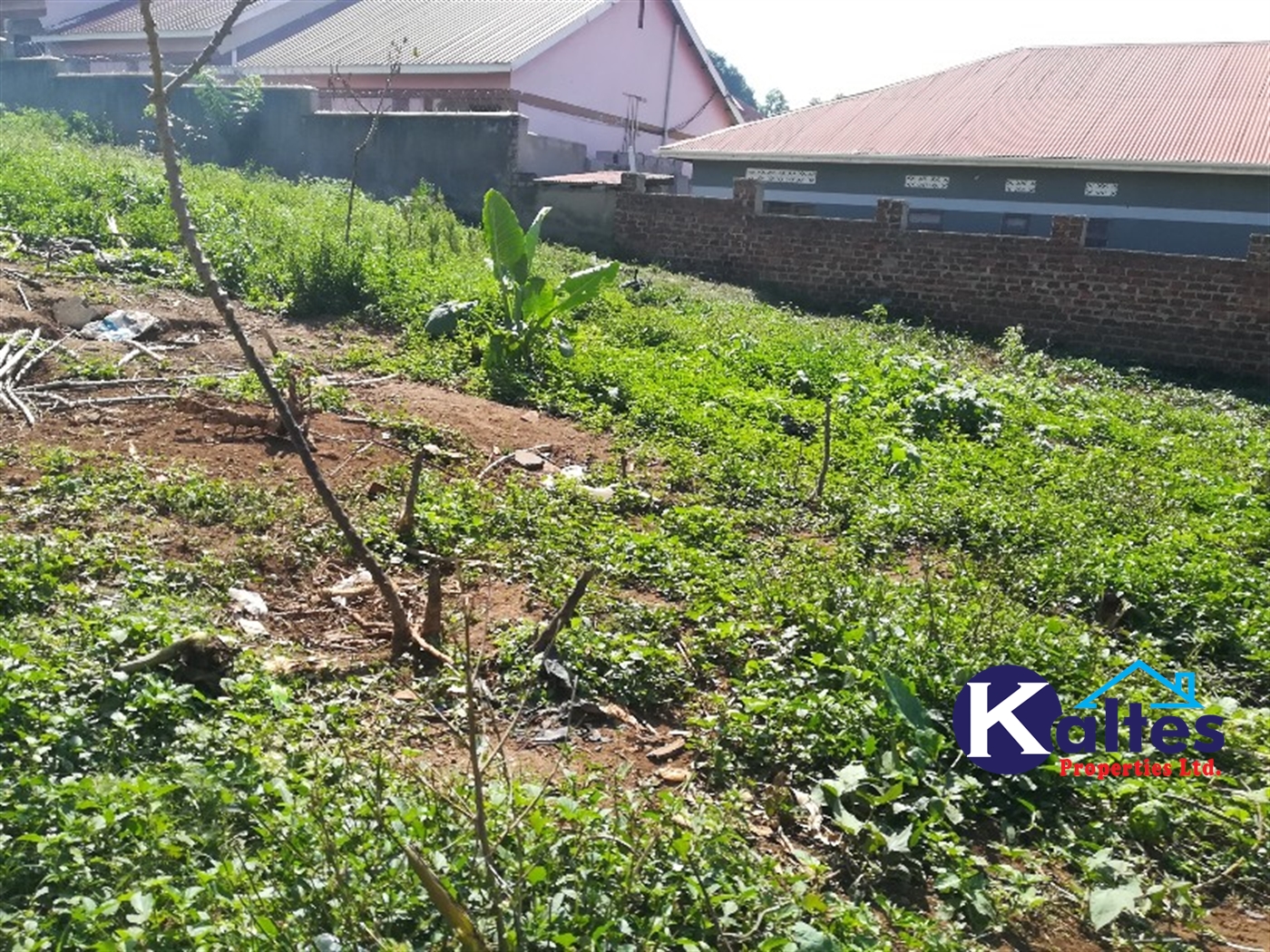 Residential Land for sale in Mpoma Mukono