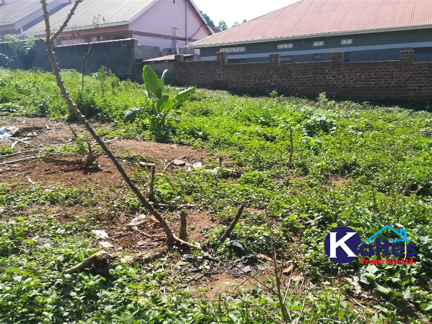 Residential Land for sale in Mpoma Mukono