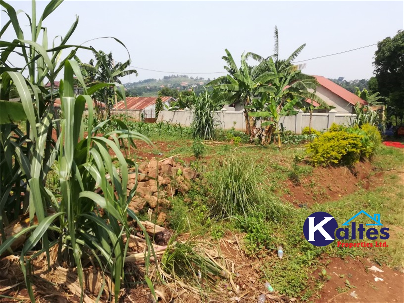 Residential Land for sale in Mpoma Mukono