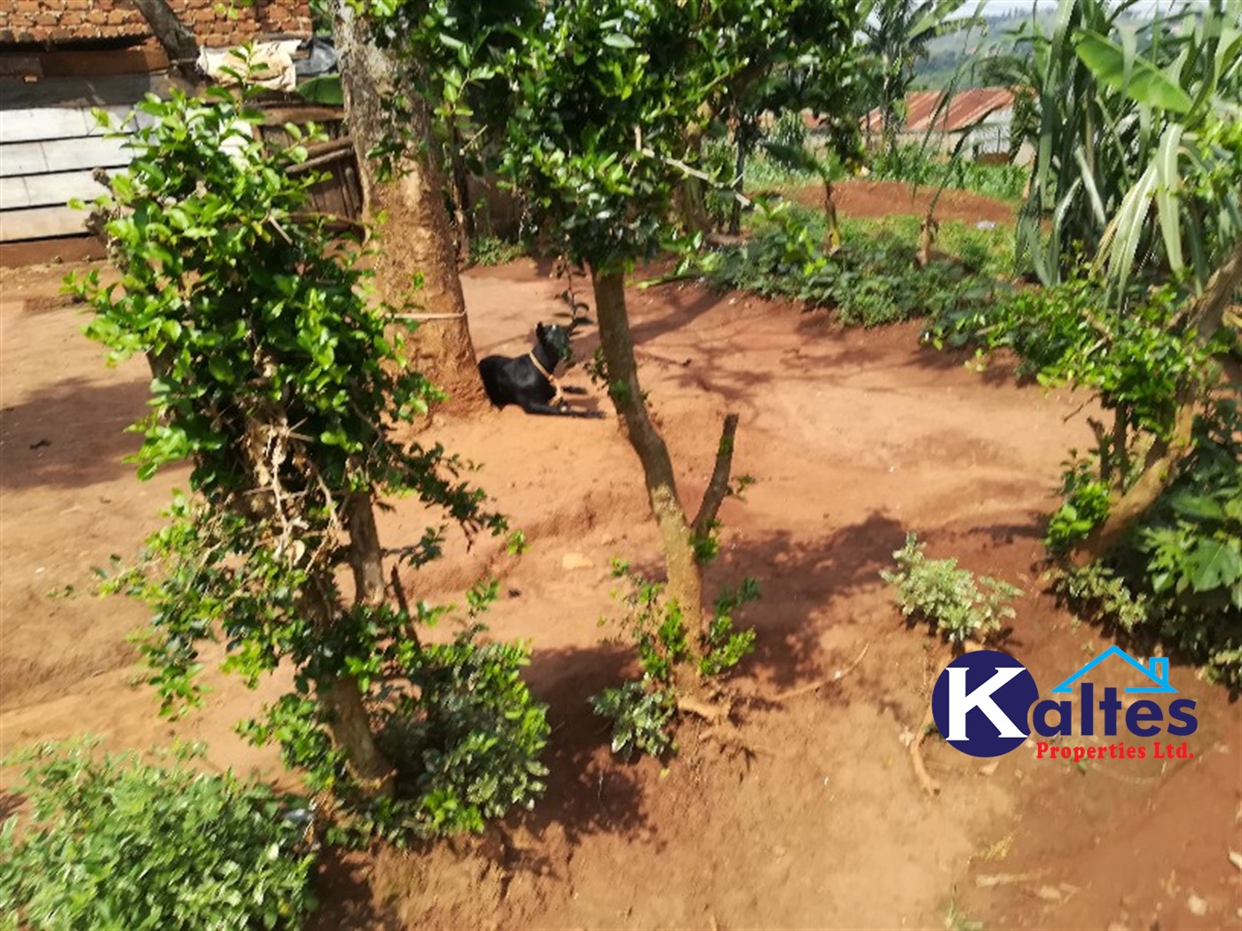 Residential Land for sale in Mpoma Mukono