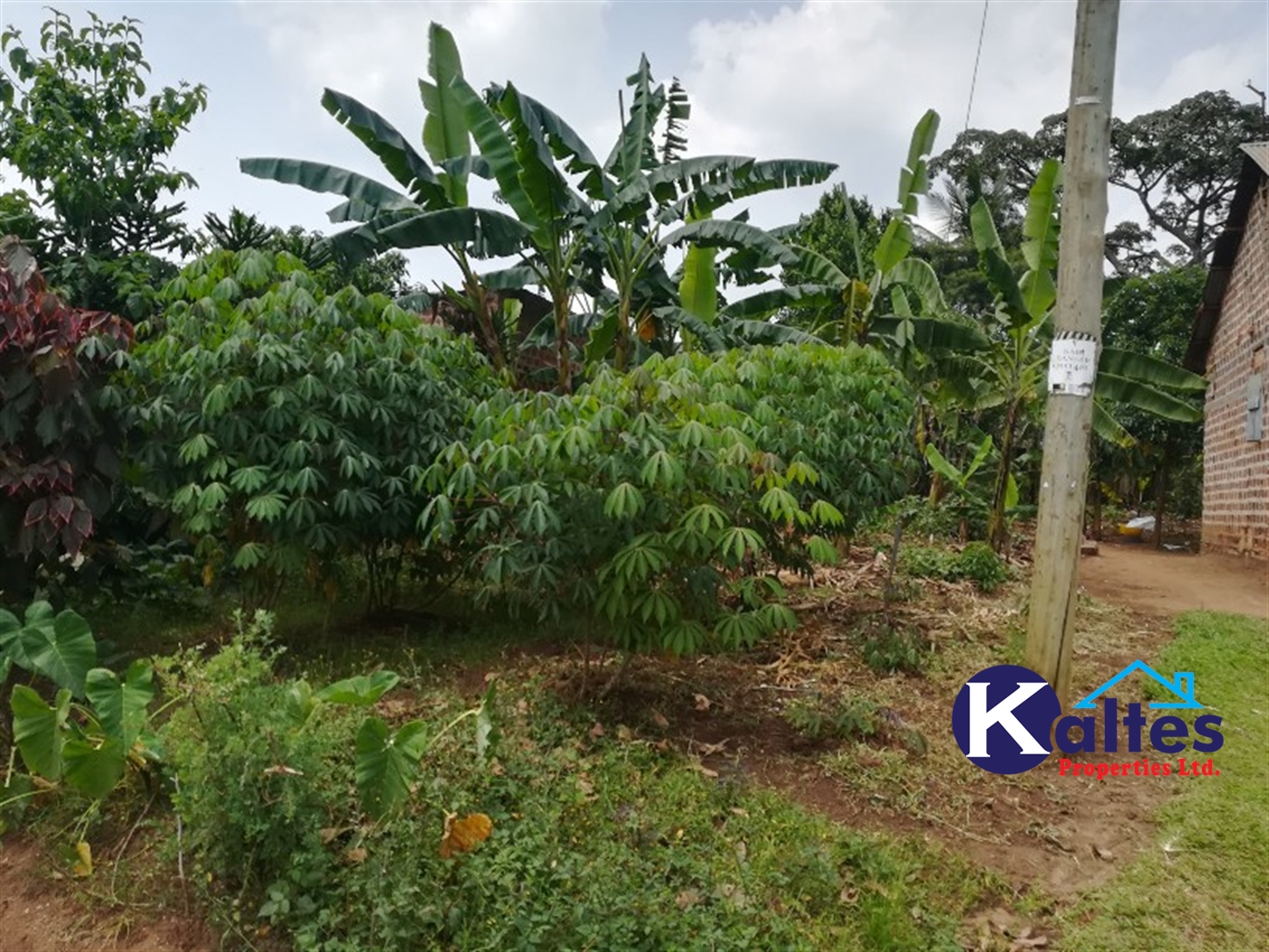 Residential Land for sale in Mpoma Mukono