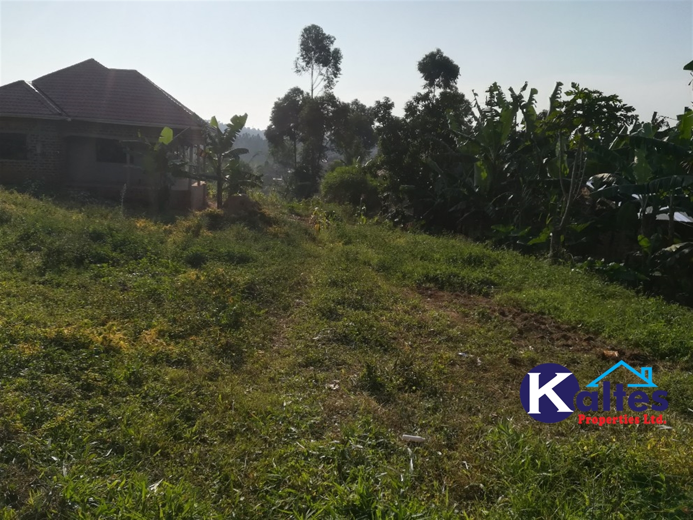 Residential Land for sale in Naama Mukono