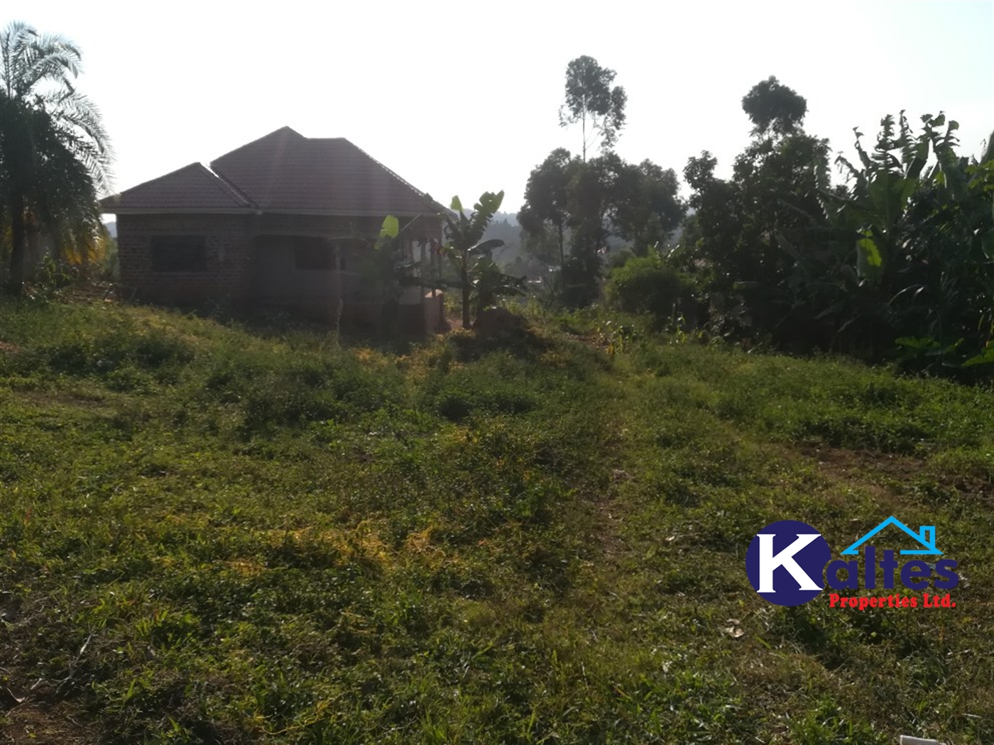 Residential Land for sale in Naama Mukono