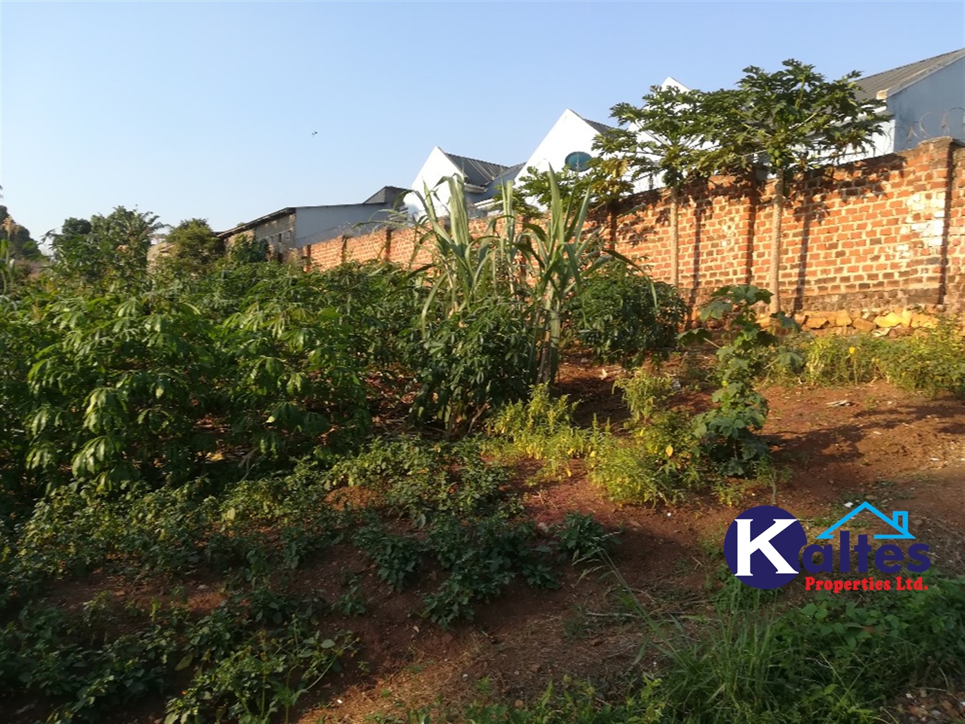 Residential Land for sale in Naama Mukono