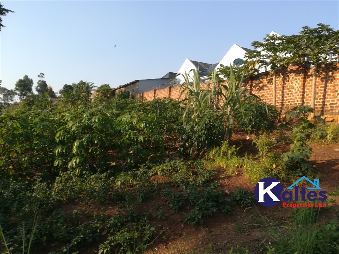 Residential Land for sale in Naama Mukono