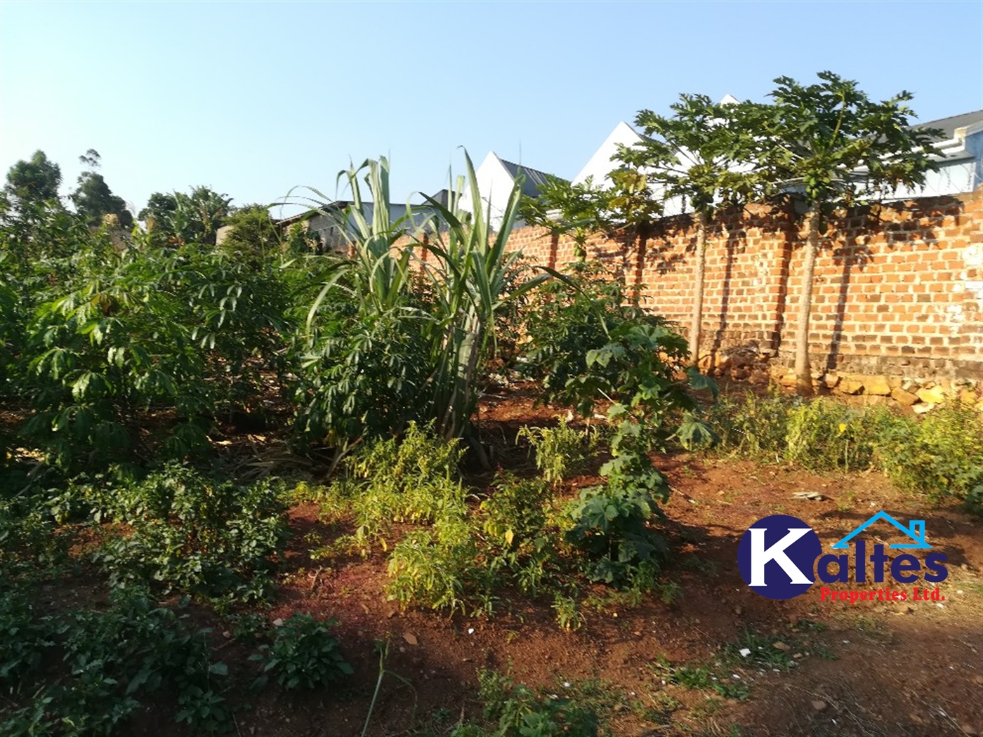 Residential Land for sale in Naama Mukono