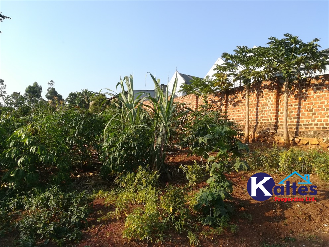 Residential Land for sale in Naama Mukono