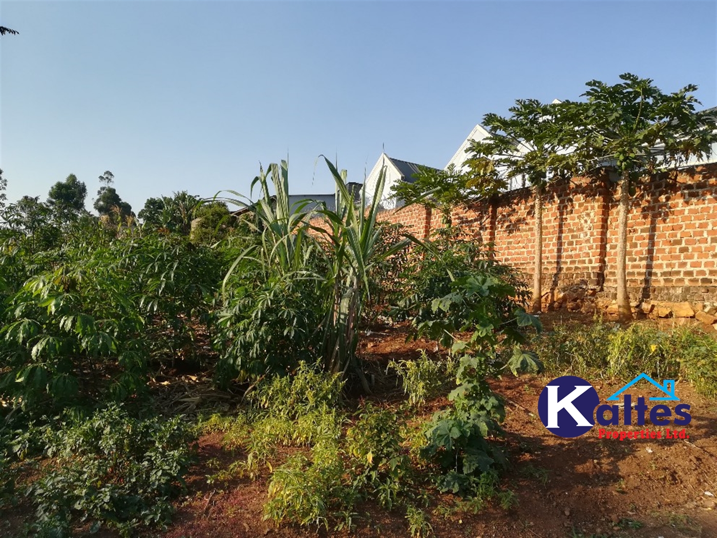 Residential Land for sale in Naama Mukono